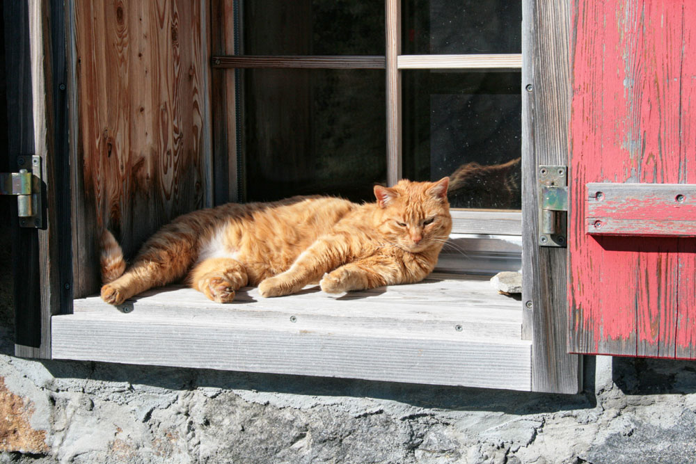 Bain de soleil à la cabane Wiwanni