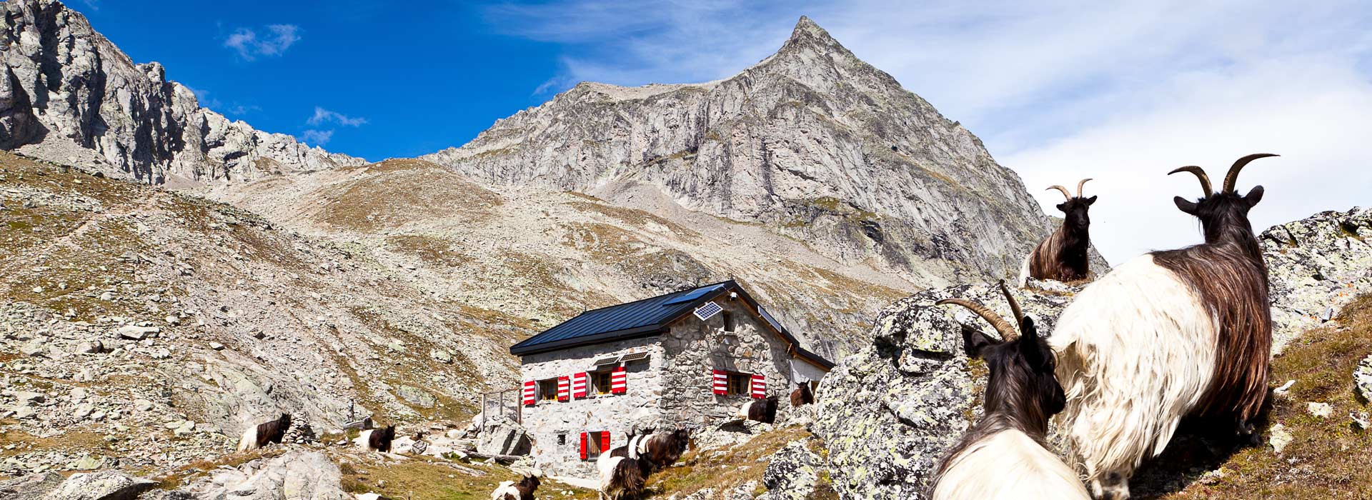 La cabane Wiwanni et Wiwannihorn